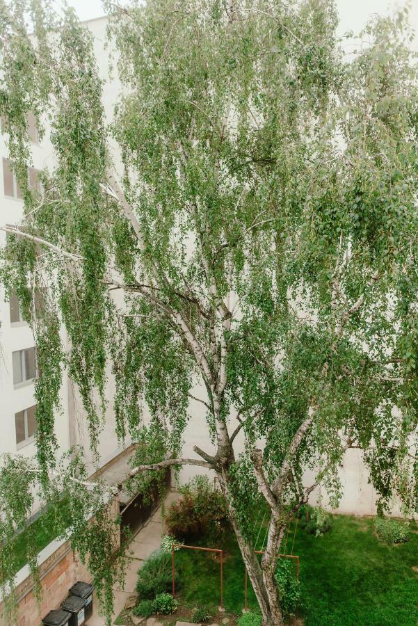 Wake Up Apartments เบอร์โน ภายนอก รูปภาพ